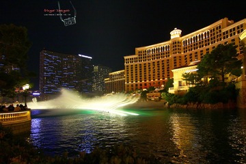 IMG_4033t