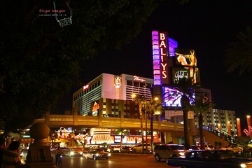 IMG_4048t