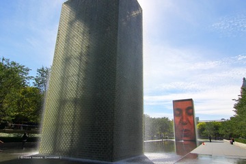 IMG_3169t