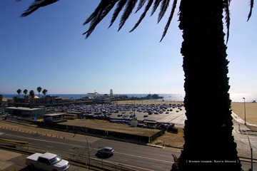 IMG_1705t