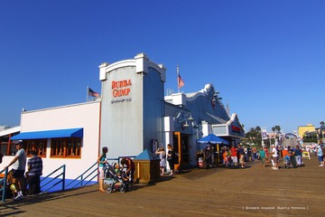 IMG_1736t