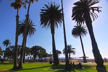 IMG_1701t