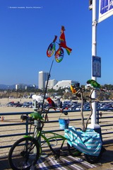IMG_1741t