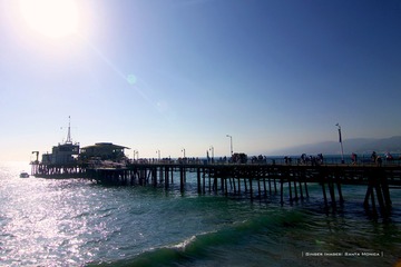 IMG_1817t