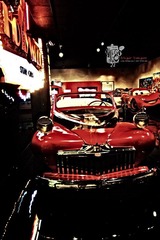 IMG_4613.jpg