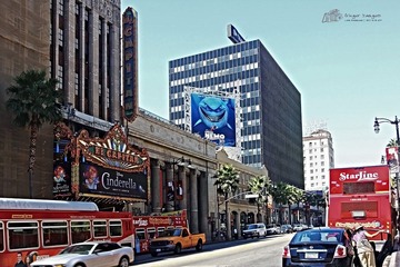 IMG_5085.jpg