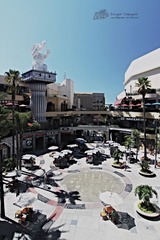 IMG_5109.jpg