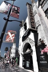 IMG_5119.jpg