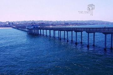 IMG_8077.jpg