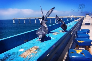 IMG_8105.jpg