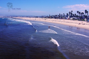IMG_8117.jpg
