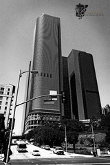 IMG_4051.jpg