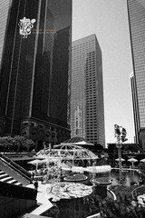 IMG_4058.jpg