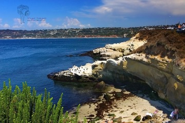 IMG_8227.jpg