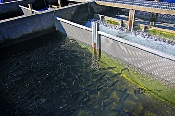 IMG_9679.jpg