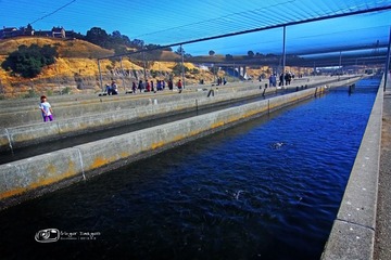IMG_9684.jpg
