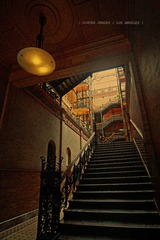 IMG_4101.jpg