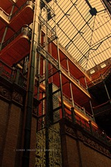 IMG_4107.jpg