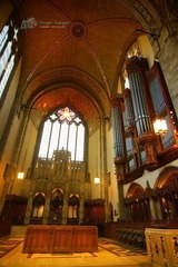 IMG_4368.jpg