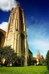 IMG_4381.jpg