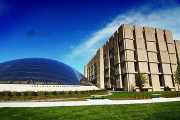 IMG_4421.jpg