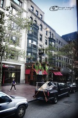 IMG_6369.jpg