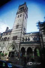 IMG_6375.jpg