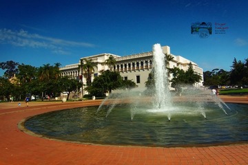 IMG_9375.jpg