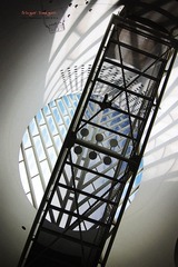 IMG_1418.jpg