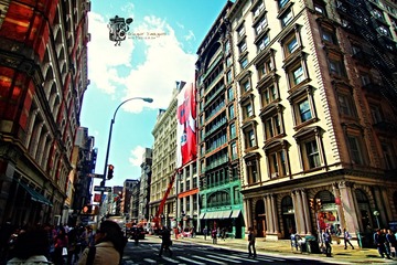 IMG_9684.jpg