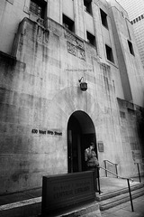 IMG_3983.jpg