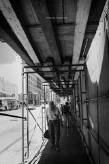 IMG_4150.jpg