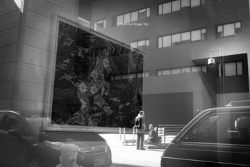 IMG_1437.jpg