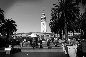 IMG_1445.jpg
