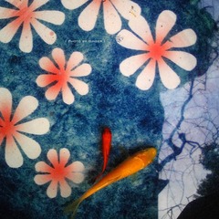 Image023~00