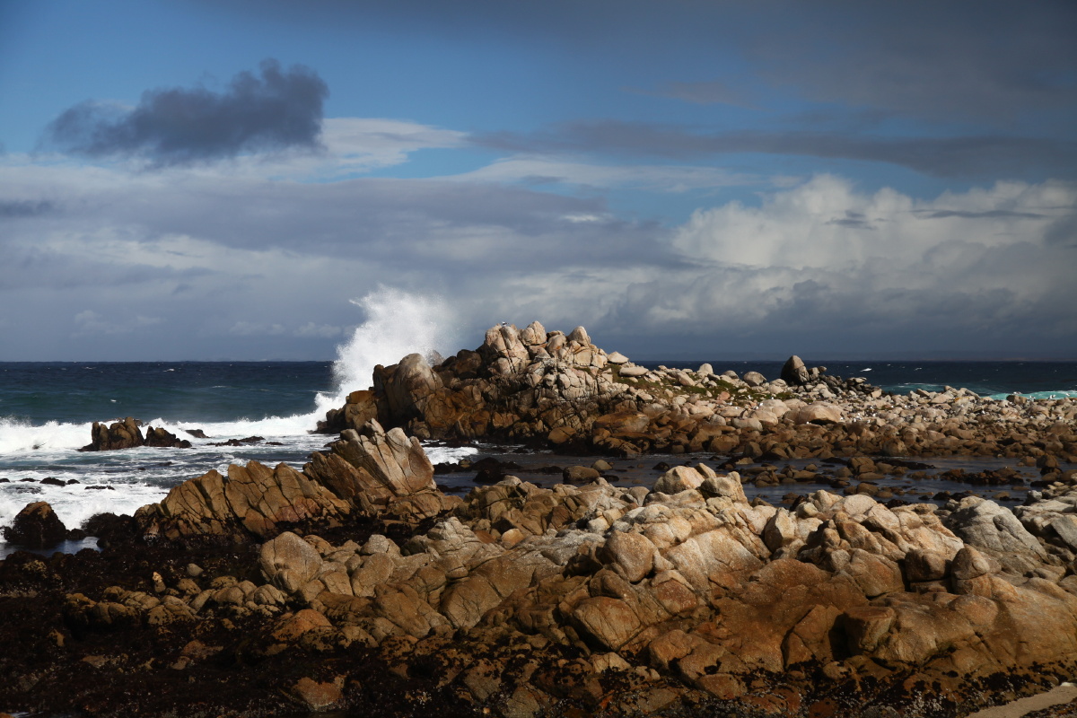 蒙特利湾point pinos br /> 一镜走天下的旅游头有时也能碰上运气.