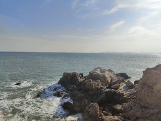 1000253352