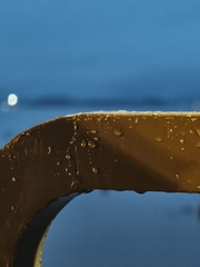 1000051241