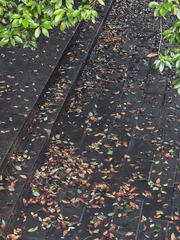 1000051224