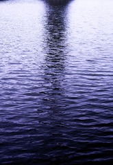 1000081769