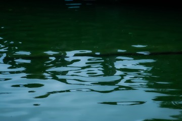 1000081770