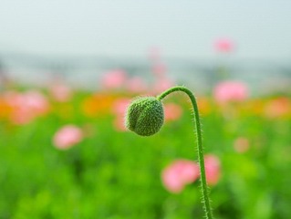 9249