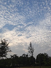 1000064671