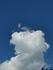 1408277