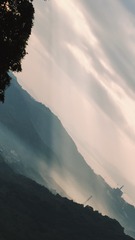 1000016145