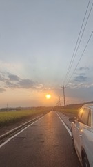 1000033291