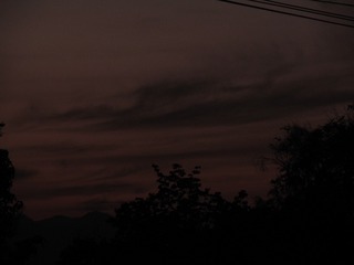 1000026229
