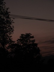 1000026226