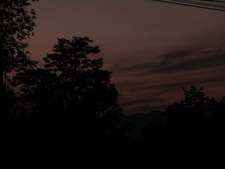 1000026225