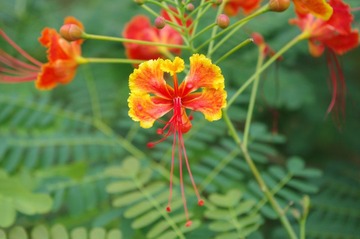 IMGP9879.JPG
